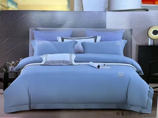 宜庭  长绒棉磨毛四件套 商品图0