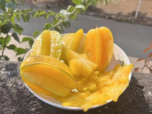 合作产品/ 生态杨桃 云南.元江 商品图1