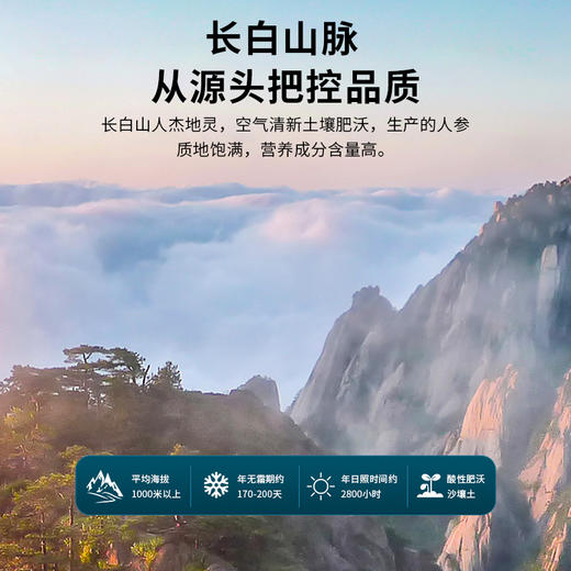 【女神节】雷允上 红参片礼盒 100g 商品图2