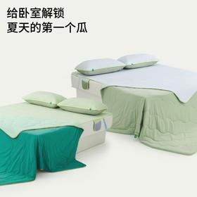 躺岛®️瓜瓜凉系列 · 经典瓜Chillcream®️即刻凉感纤维夏被