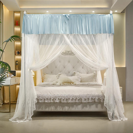 自然醒蚊帐家用卧室宫廷落地蚊帐三开门不锈钢四立柱防蚊防尘遮光顶家用清新2505HH 商品图10