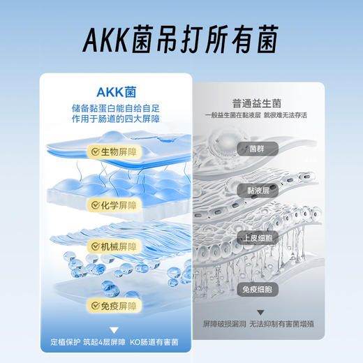 Timeshop 肠倍轻AKK益生菌胶囊 60粒【香港直邮】 商品图2