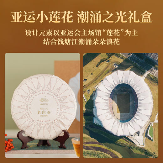 艺福堂潮涌之光白牡丹老白茶礼盒300g 商品图3