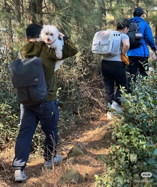 鸟 2025新款 GRANVILLE 20双肩背包 Z-12031 商品图4