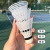 【送3个尼龙球 1个球包】德尔惠羽毛球拍 超轻易上手 防滑减震手柄 003 商品缩略图4