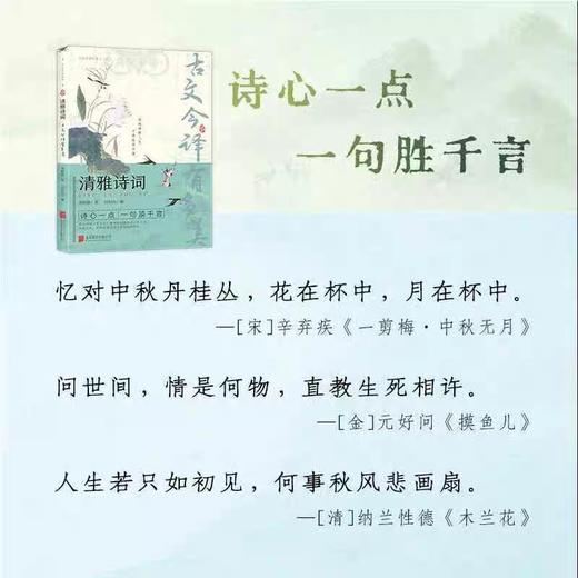 清雅诗词 古文今译有多美正版藏在古诗文里的夸人宝典腹有诗书课外阅读书中国文学浪漫赏古诗词经典诗词赏析国学著作正版当当自营 商品图1