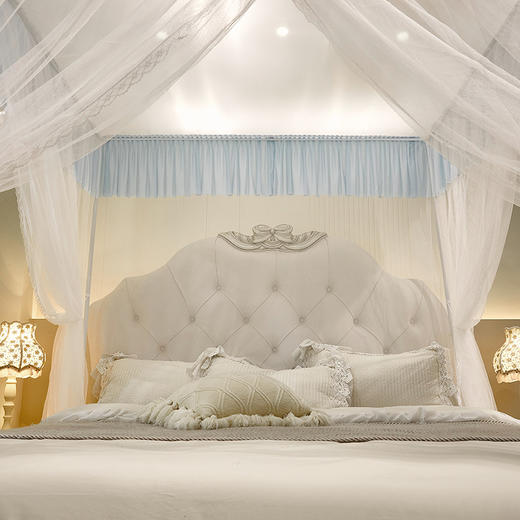 自然醒蚊帐家用卧室宫廷落地蚊帐三开门不锈钢四立柱防蚊防尘遮光顶家用清新2505HH 商品图14