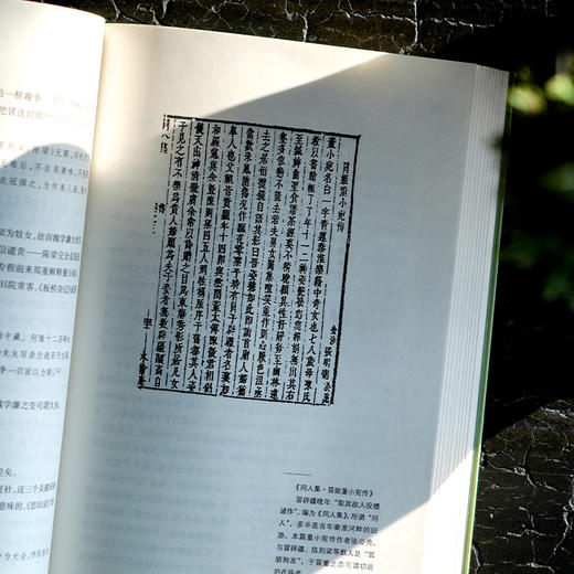 李洁非《野哭：弘光列传》 商品图3