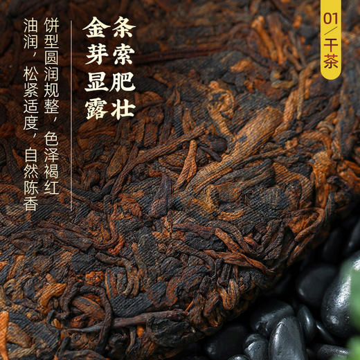 【真冰岛拼配】茶马世家冰岛熟500g（100g*5）礼盒装 送盖碗一个 商品图2