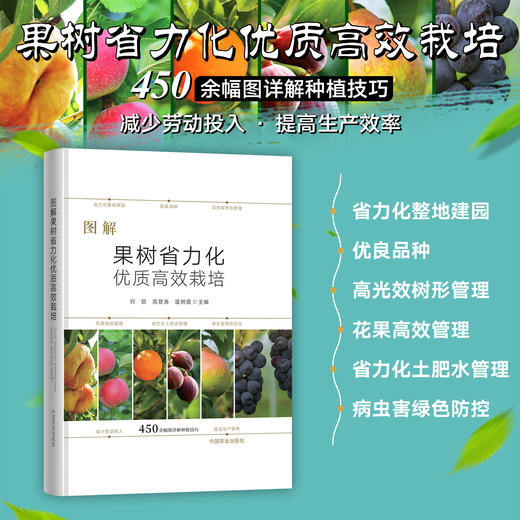 图解果树省力化优质高效栽培【官方正版，可开发票】 商品图0