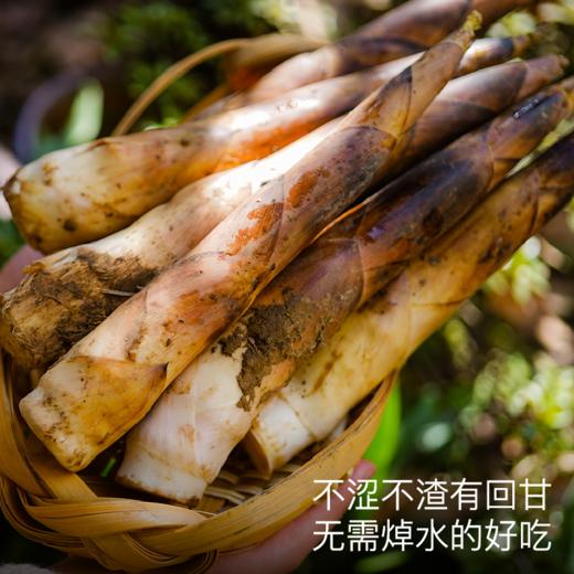 饱记·临安天目山雷笋带壳春笋4斤装2026年京东发货 商品图3