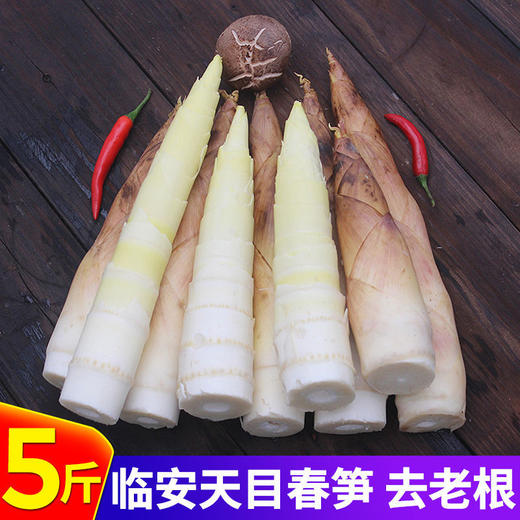 【一寸阳光】 临安天目山春笋（京东快递） 商品图7