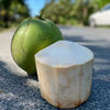 【分仓直发包邮】海南椰青（精品果）4个（单果2-3斤 送开椰器和吸管） 商品缩略图0