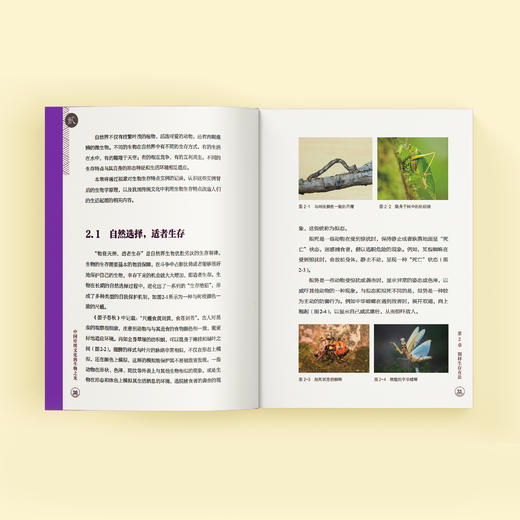 《“读中华 学科学”丛书》（全4册） 商品图5