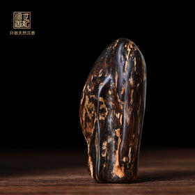 天然文莱沉香 沉水级 11.7克 SP5088