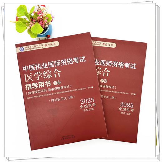 2025年中医执业医师资格考试医学综合指导用书（上下）规定学历师承或确有专长考试指南大纲笔试中医职业教材中国中医药出版社 商品图1