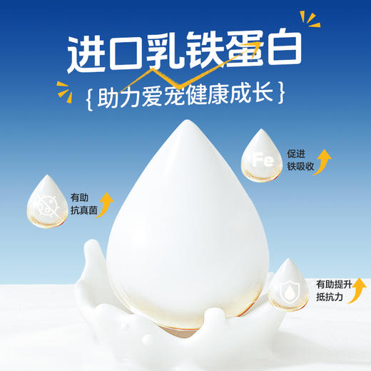 MAG&IGG乳铁蛋白羊奶冻干 猫咪狗狗专用提高免疫力增强体质60g 商品图2