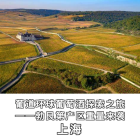 【2025.03.01 武康门票 Wukang Ticket】葡道环球葡萄酒探索之｜勃艮第产区重量来袭