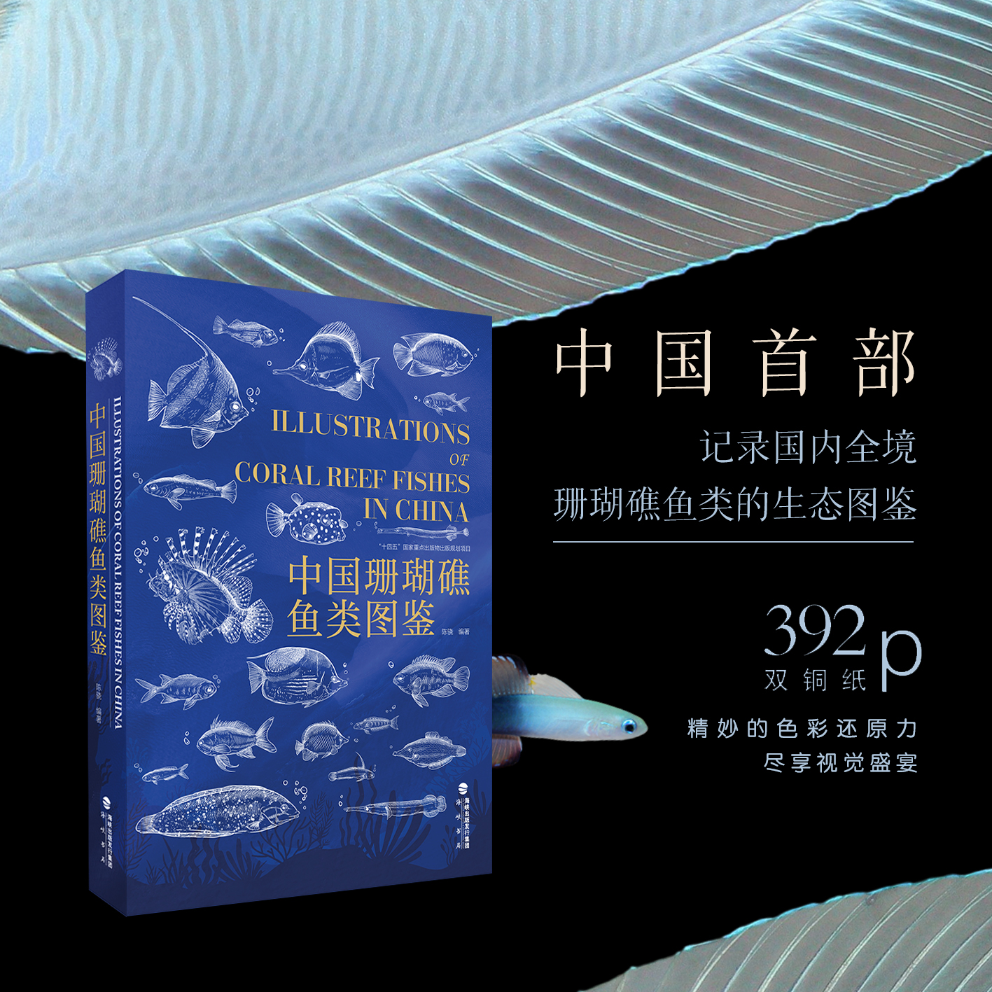《中国珊瑚礁鱼类图鉴》陈骁（海洋界的藏狐）海峡书局【官方正版 48小时发货】