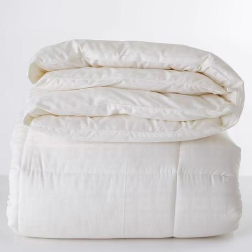 澳洲原装进口羊毛被200*230 250g 商品图0