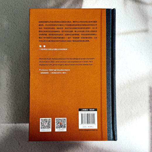 和平建构的复合路径 政治学学术专著 地缘政治 和平与安全战略 商品图2