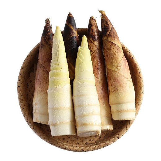 【一寸阳光】 临安天目山春笋（京东快递） 商品图8