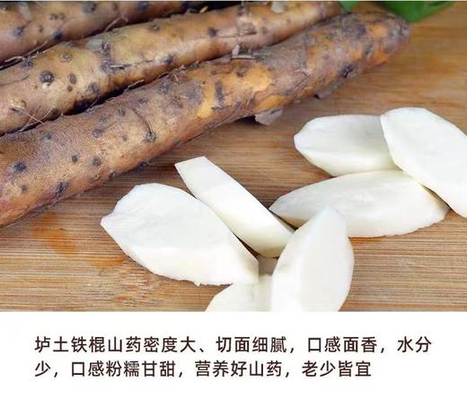 河南焦作铁棍山药5斤/箱 商品图3