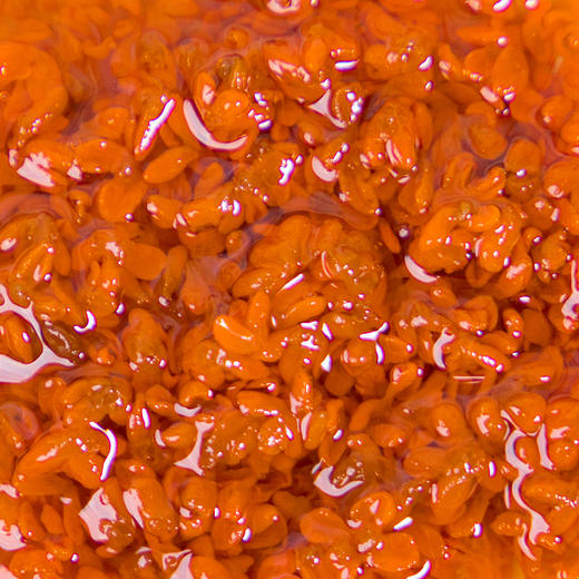 【浦城桂花露】花香浓郁  甜而不腻  入茶佐餐甜品搭配 235g/罐 商品图3