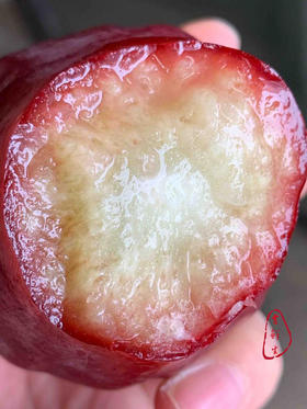 海南黑金刚莲雾，水嫩多汁，清甜很舒服～