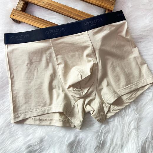 迪兰多莫代尔棉四角内裤亲肤舒适22805811 商品图7