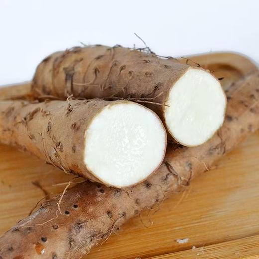 河南焦作铁棍山药5斤/箱 商品图2