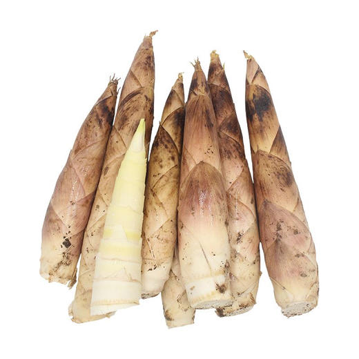 【一寸阳光】 临安天目山春笋（京东快递） 商品图5