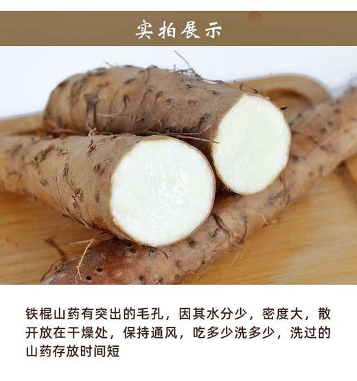 河南焦作铁棍山药5斤/箱 商品图1
