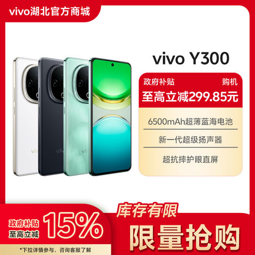 vivo Y300【国家补贴】 商品图0