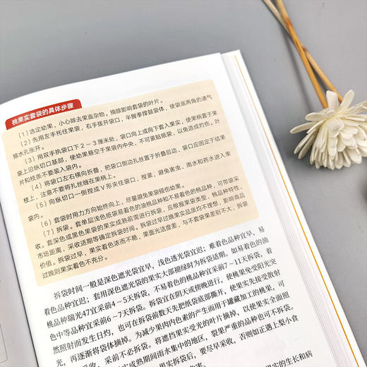 图解果树省力化优质高效栽培【官方正版，可开发票】 商品图3