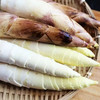 【一寸阳光】 临安天目山春笋（京东快递） 商品缩略图4