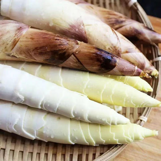 【一寸阳光】 临安天目山春笋（京东快递） 商品图4