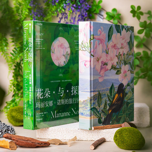 《花朵与探险2：玛丽安娜·诺斯的旅行回忆》英国皇家植物园邱园官方授权 余天一翻译  中国国家地理 -分销-分销 商品图2