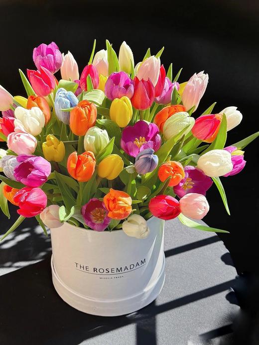 【混色郁金香】10支/份+送白色塑料花瓶1个（不少于2个颜色）(花材长约30-35cm） 商品图4