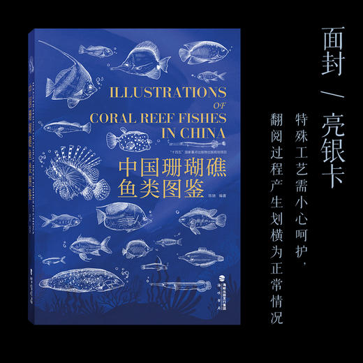 《中国珊瑚礁鱼类图鉴》陈骁（海洋界的藏狐）海峡书局【官方正版 48小时发货】 商品图2