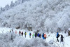 【百丈岭】徒步两昌古道，邂逅浙西云顶冰湖雾凇雪景！ 商品缩略图9