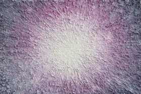 王小双 | 光 NO.03