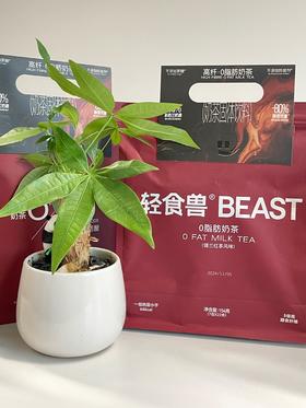 //【轻食兽0脂肪锡兰红茶风味奶茶】2块多一杯❗热量比苹果还低  再也不用去奶茶店了🔥便携袋冲，还不用洗杯子！ ✅新西兰进口奶源+斯里兰卡锡兰红茶，配料干净，健康又好喝 