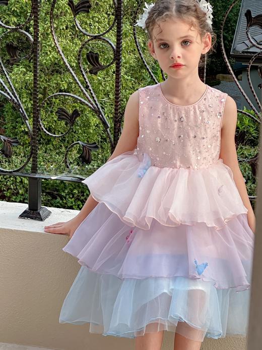 彩蝶连衣裙 商品图3