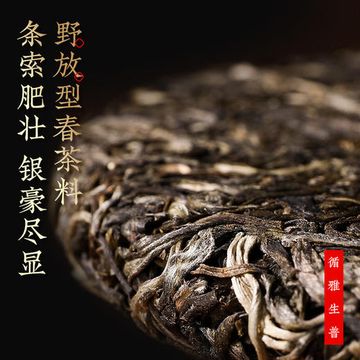 茶马世家 循雅普洱生熟双饼礼盒装 商品图2