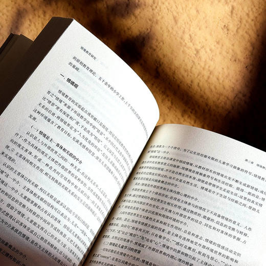 情境教育研究 王玉娟 汇聚中华文化智慧 回应世界教育改革潮流 商品图10