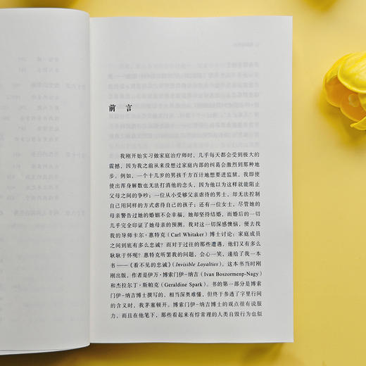 脆弱的家庭 《热锅上的家庭》作者力作！ 商品图4