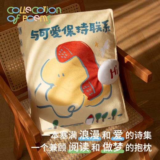 预售 《和可爱保持联系》书本抱枕 商品图1