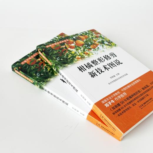 柑橘种植技术专家谈:柑橘整形修剪新技术图说 口碑之选，60年一线专家实战技法图解，果农常备案头书 商品图6