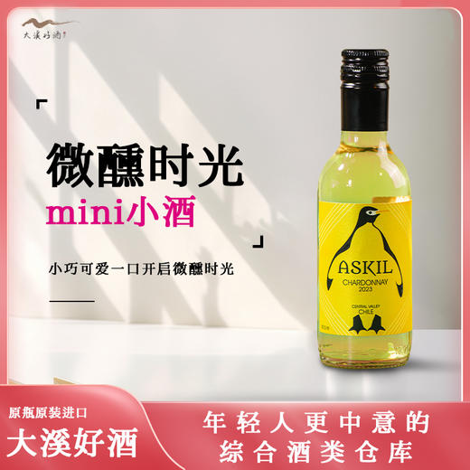 爱丝姬霞多丽白葡萄酒（6支装） 商品图0